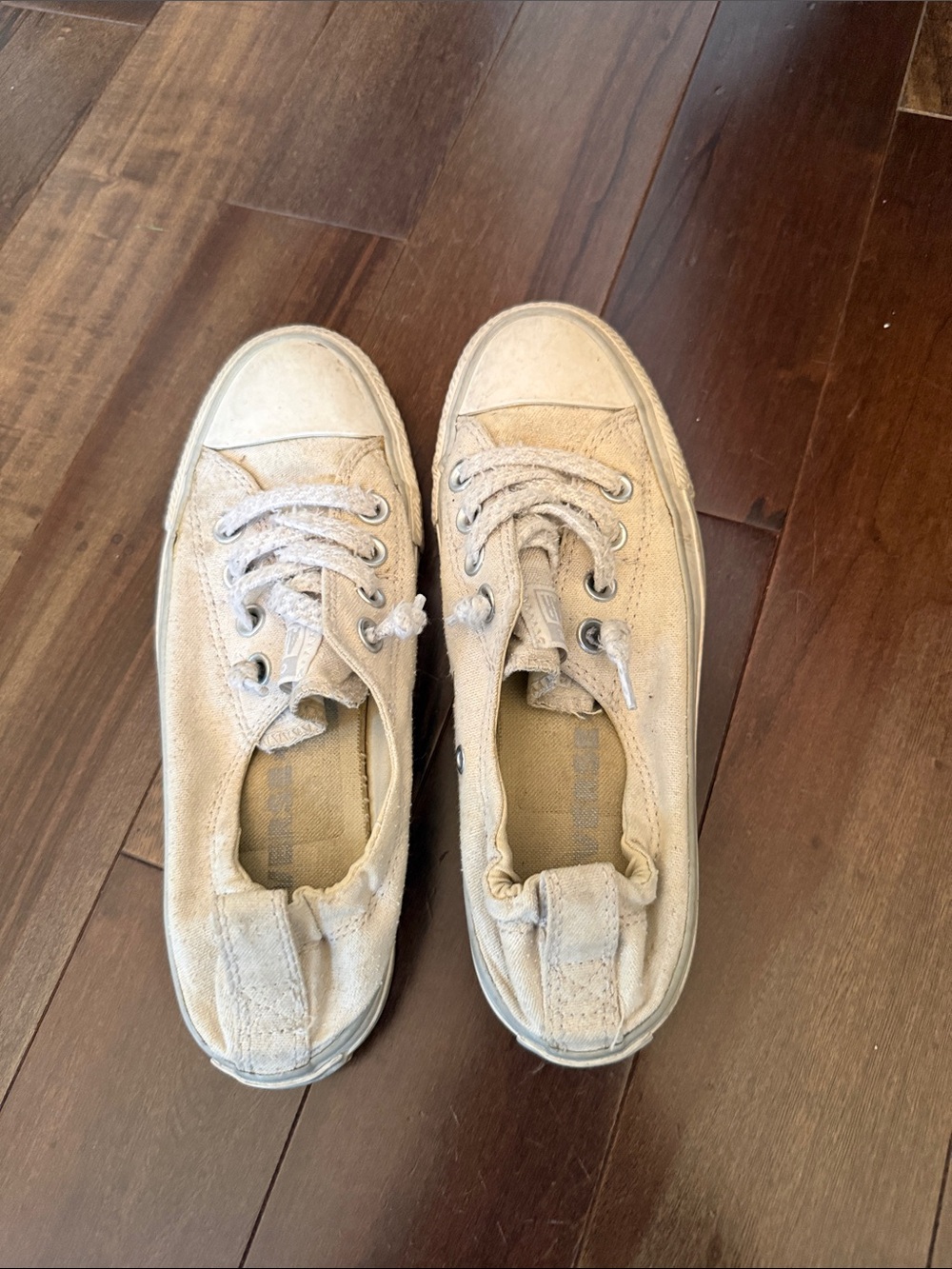 Converse All Star Sneakers